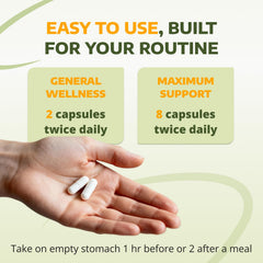 1-TDC WorksSoWell IP-6 Energy box communicates total body wellness potential.