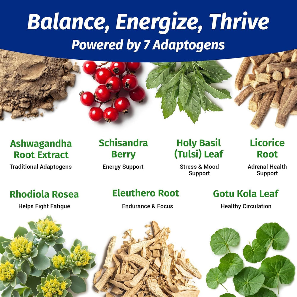 1 Body Ashwagandha Complex dosage spoon with capsules