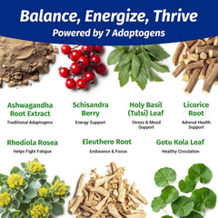 1 Body Ashwagandha Complex dosage spoon with capsules