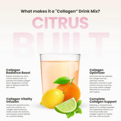 310 Nutrition Pink Lemonade tub with scoop emphasizes delicious flavor option for daily use.