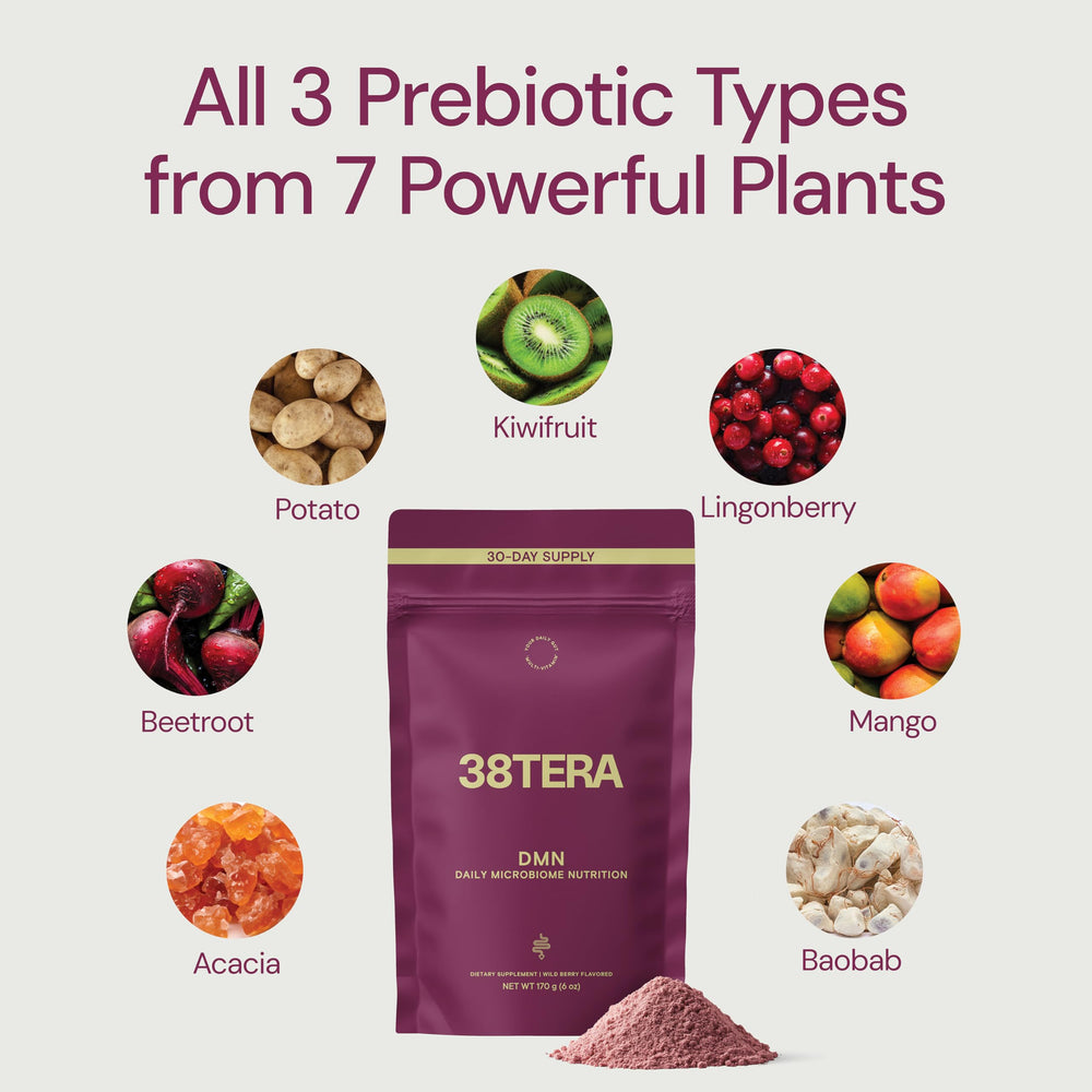 38TERA DMN smoothie serving shows daily gut-friendly addition.