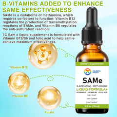 7c Sam-e liquid label highlights B12, B6, and folic acid co-factors
