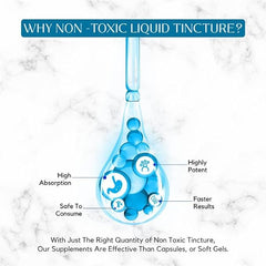 Absonutrix Pregnenolone-L-Theanine ingredients label communicates transparency and quality.