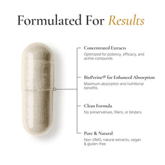 ACEWORKZ Ignite ingredients snapshot hints at thermogenic and cognitive support.
