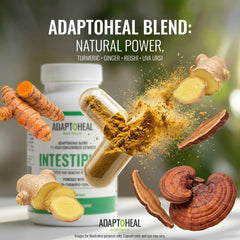 ADAPTOHEAL Intestiplus botanical blend featuring turmeric and ginger.