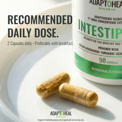 ADAPTOHEAL Intestiplus daily use with meals for absorption