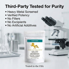 Addictive Wellness Cordyceps Militaris daily use spoon shows easy integration.