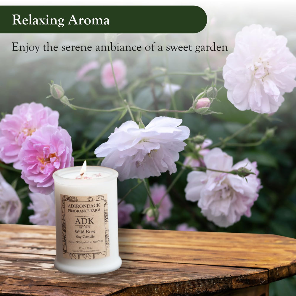 ADK Wild Rose Candle packed in a gift-ready box for easy gifting.