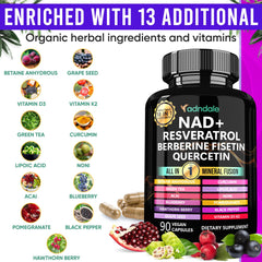 Adndale NAD Resveratrol capsules close-up highlighting potential antioxidant support