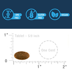 Advanced Memory Formula visuals with NeuroFactor emphasis for memory clarity.