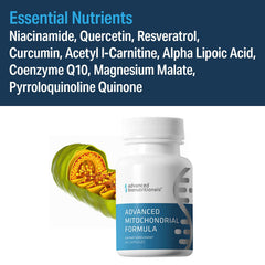 Label close-up highlighting Niacinamide for energy production and antioxidant ingredients.
