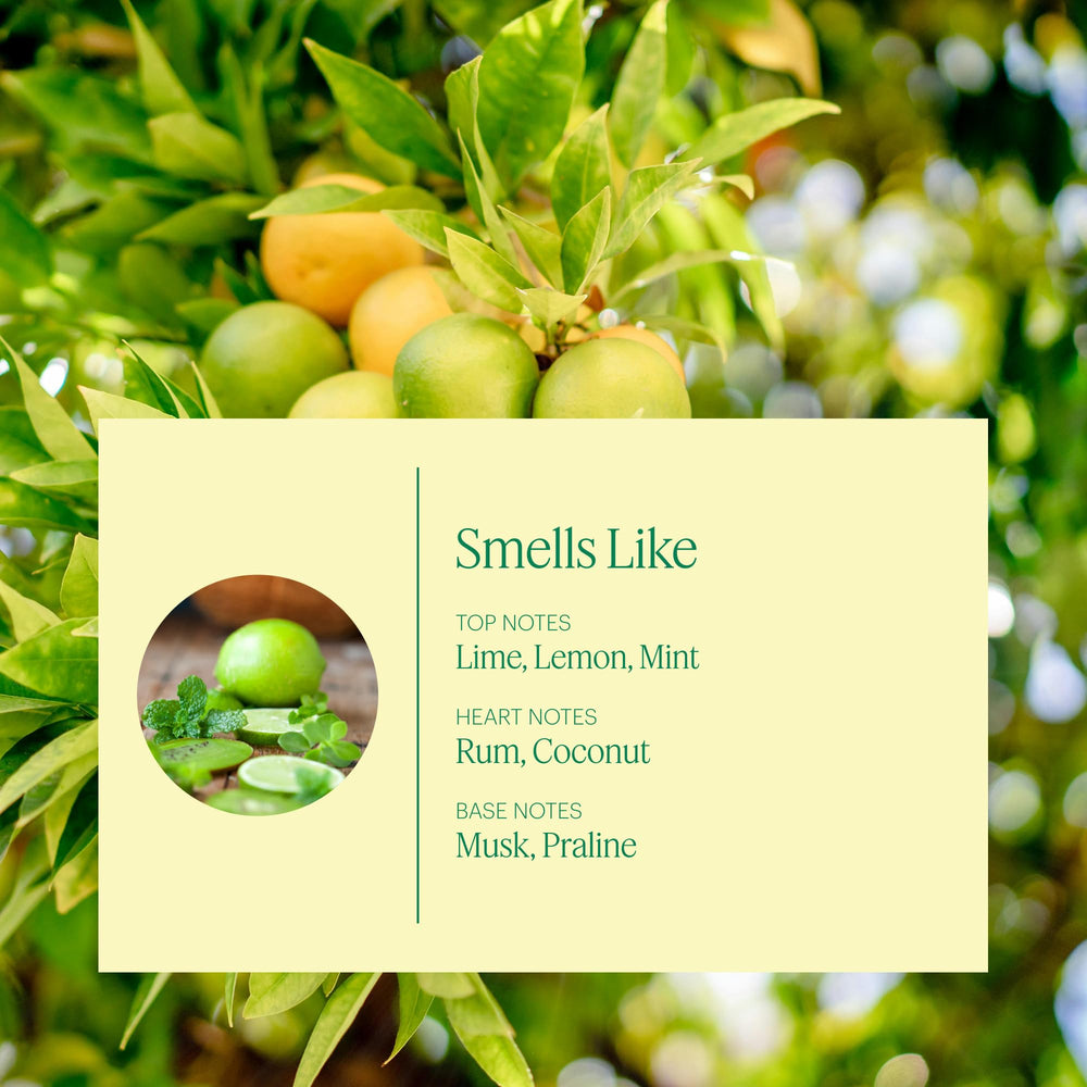 Packaging label highlighting citrus mint notes and beachy nostalgia
