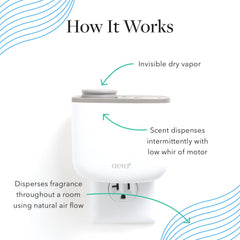AERA Mini Forest Therapy packaging emphasizing ethical sourcing and IFRA compliance