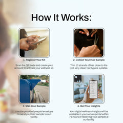 AFIL 72 hour wellness report delivers fast insights.