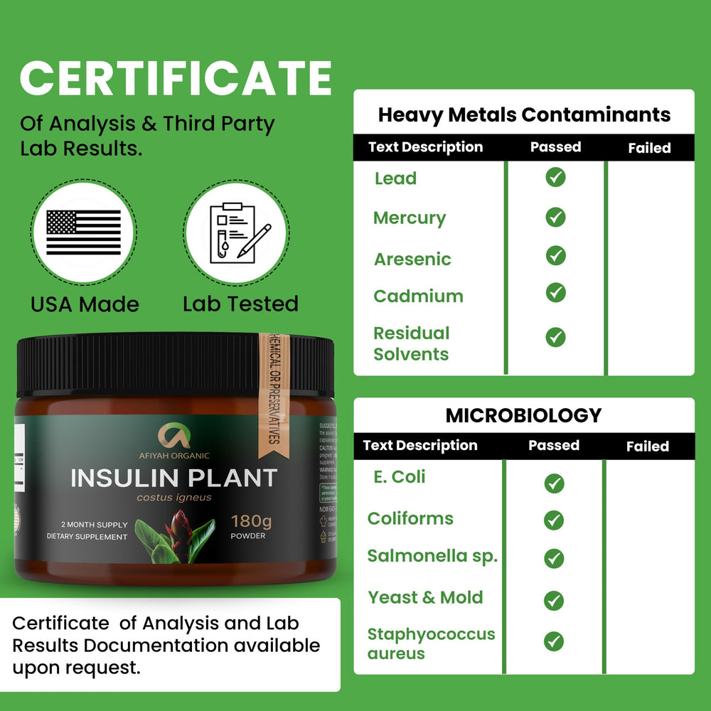 Afiyah Organic Costus Igneus powder added to a smoothie for easy integration.