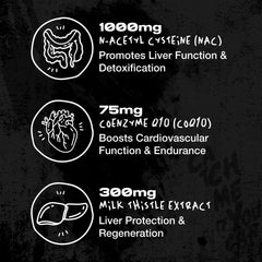 AfterDARK OrganX science chart, illustrated organ support and detox pathways.