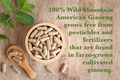AG 100 capsules on table illustrate convenient daily integration into routines.