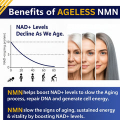 Close-up of Ageless NMN capsules for convenient daily dose.