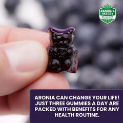 Akronia Valley Aronia Berry Gummies pack two—family-friendly daily supplement