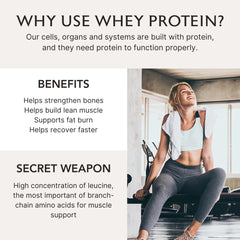 Alaya Naturals grass-fed whey bottle label emphasizes non-GMO and hormone-free ingredients
