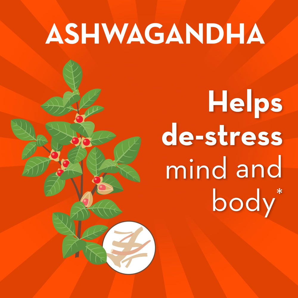 Align Probiotic ashwagandha blend on calm lifestyle setup.