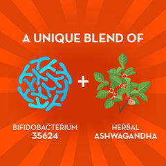 Align Probiotic bottle-label close-up highlighting Bifidobacterium 35624 strain for gut support.