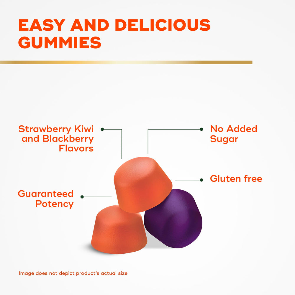 Align Probiotic + Fiber Gummies serving without water for on-the-go use.