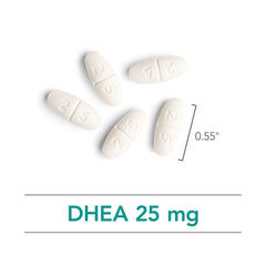 Allergy Research Group NutriCology DHEA lipid matrix visual emphasizes absorption.