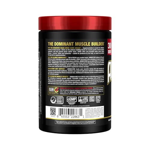 Allmax AminoCORE serving scoop in jar for easy daily dosing