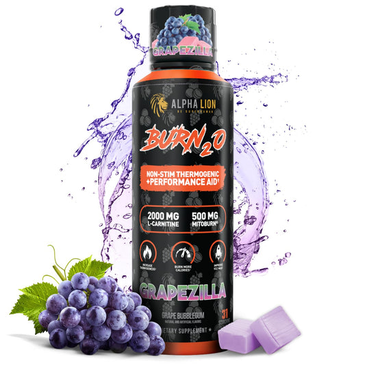 Alpha Lion Burn2O bottle shot highlights a zero-calorie liquid energy for workouts.