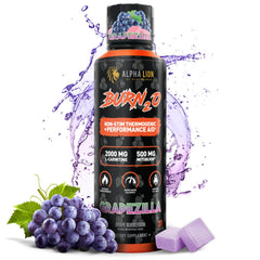 Alpha Lion Burn2O bottle shot highlights a zero-calorie liquid energy for workouts.
