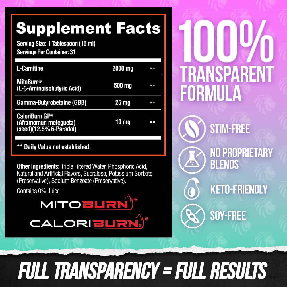 Alpha Lion Burn2O vegan-formula bottle showcases compliant lifestyle use.