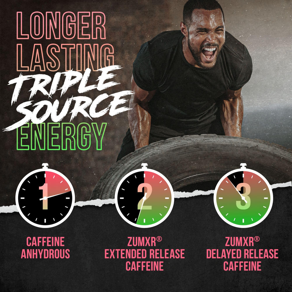 ALPHA LION SXT energy system graphic showing sustained focus and vigor