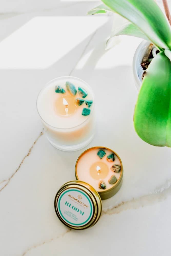 Cotton wick in a glass vessel supports a balanced, steady burn.