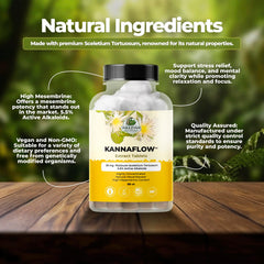 Amazing Botanicals Platinum Sceletium label highlights high mesembrine potency.