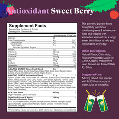 Amazing Grass Elderberry Probiotics Pack highlighting gut-friendly antioxidants