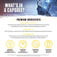 Ambrosia Mental Jewels capsules in a hand reveal easy daily use for focus.
