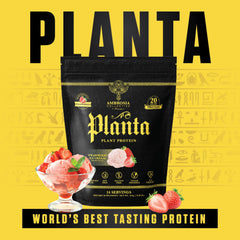 Ambrosia Planta 14 servings label highlights convenient daily protein.