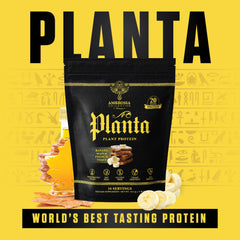 Ambrosia Planta Gourmet Banana Maple flavor close-up with appealing texture