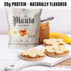 Ambrosia Planta ingredients blend close-up shows pea, brown rice, and sunflower proteins.