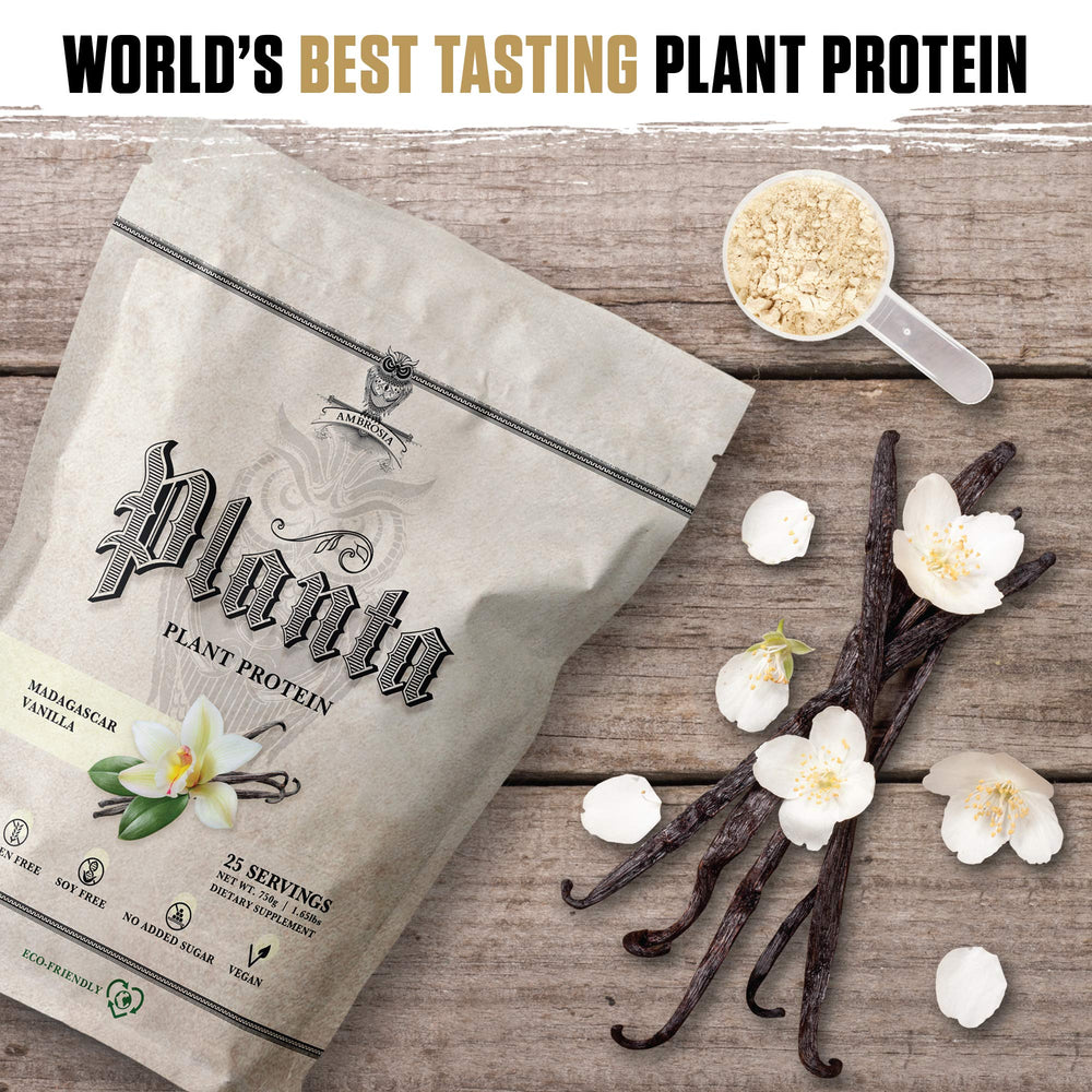 Ambrosia Planta ingredients bowl shows plant-based protein blend for daily nutrition.