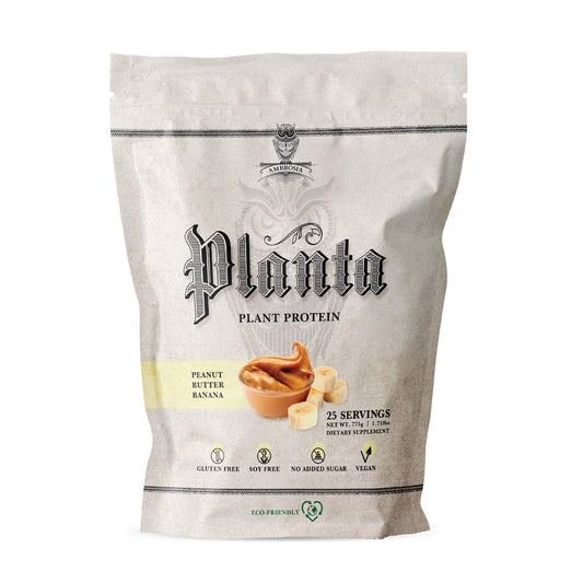 Ambrosia Planta powder scoop with peanut butter banana flavor supports post-workout protein.