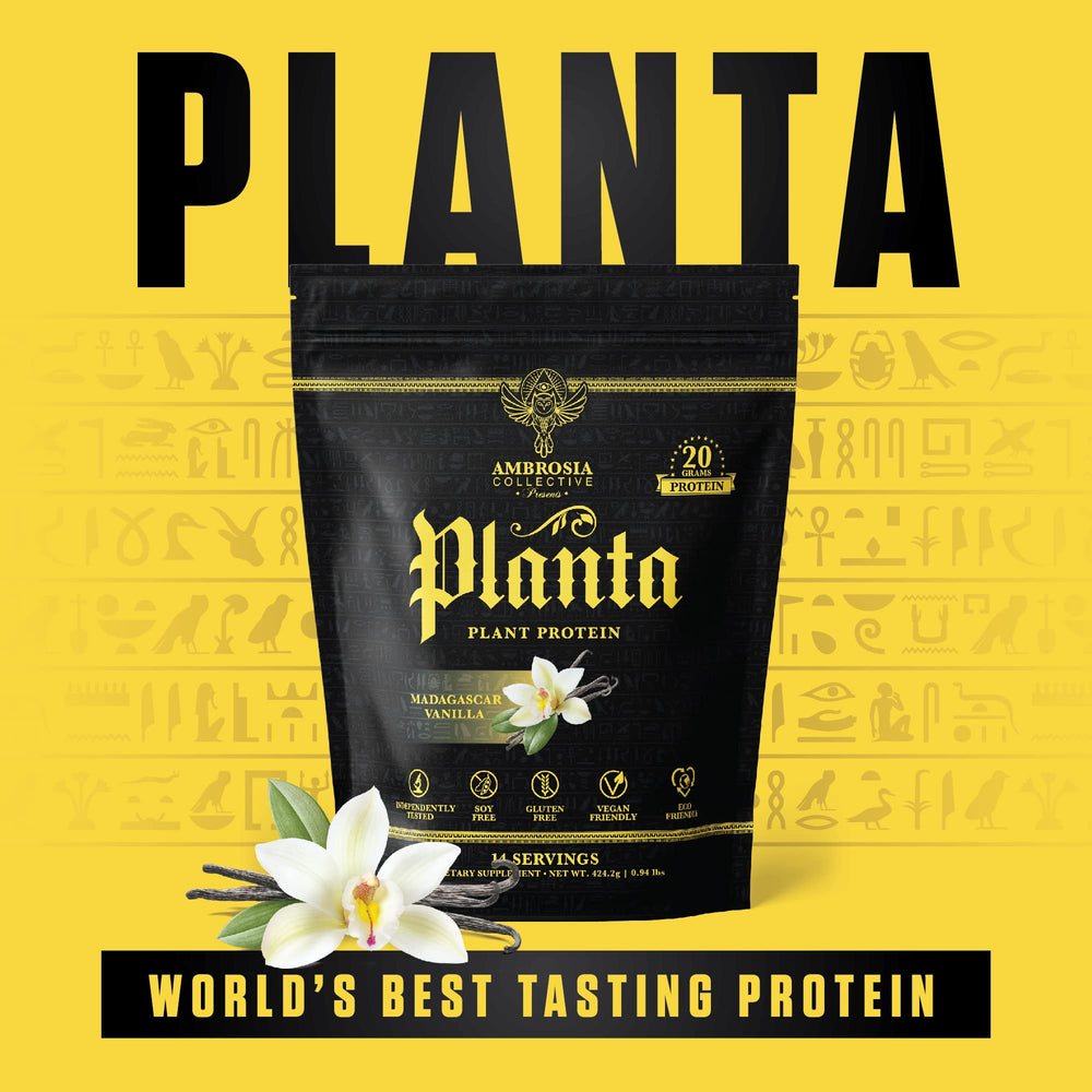 Ambrosia Planta vegan gluten-free protein suitable for smoothies and baking.