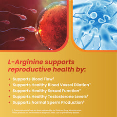 Pouring Motility Max capsules from bottle for daily use.