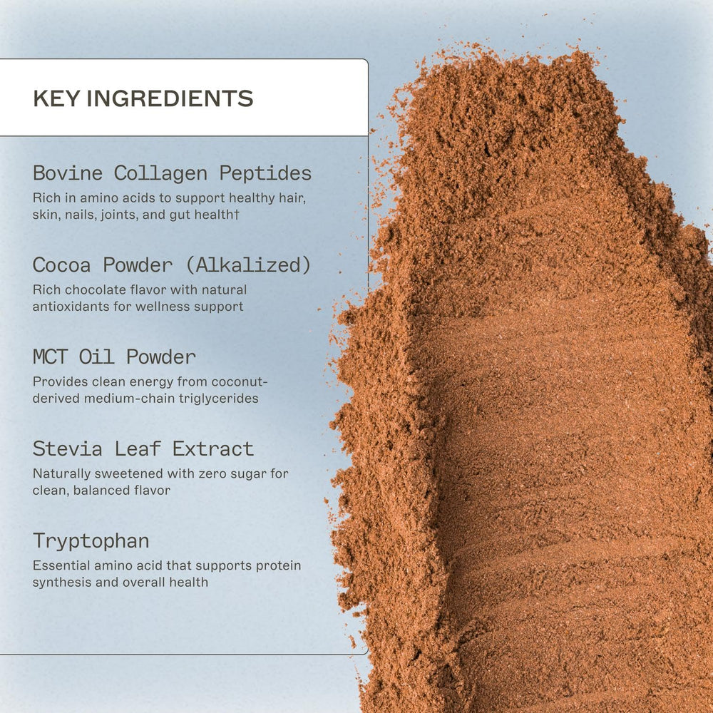 Amy Myers MD Paleo Protein Powder Mocha Latte scoop shown ready to mix for a quick, convenient boost.