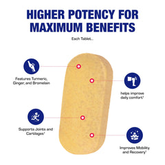 Pro ENZ science graphic illustrating proteolytic enzymes and botanicals.