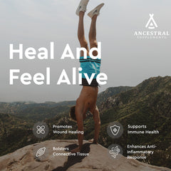 Ancestral Supplements beef tracheal liver capsules combo for whole-food nourishment.