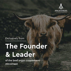 Ancestral Supplements grass-fed cows in pasture, natural sourcing.
