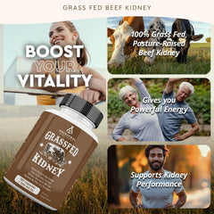 Ancestral Supplements grass-fed origin pasture highlighting grass-fed beef source