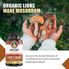 Ancient Bliss Lion’s Mane capsules arranged for a simple daily dosage routine.